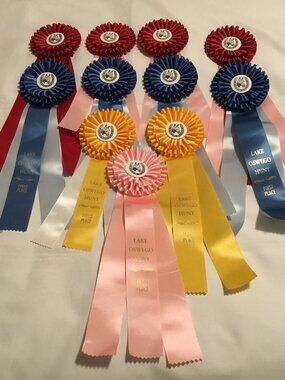 Horse Show Ribbons lot of 11 Rosettes Crafts Up Cycling Red Blue Yellow Pink